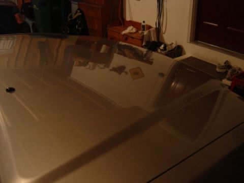 1999 Ford Taurus - Reflection of a room on a car hood, with a black antenna visible.