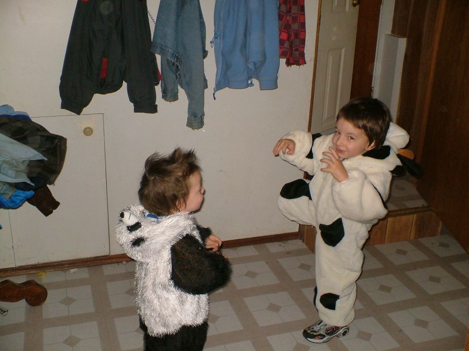 Two young children dressed in animal costumes, one in a panda suit and the other in a cow suit, stand indoors