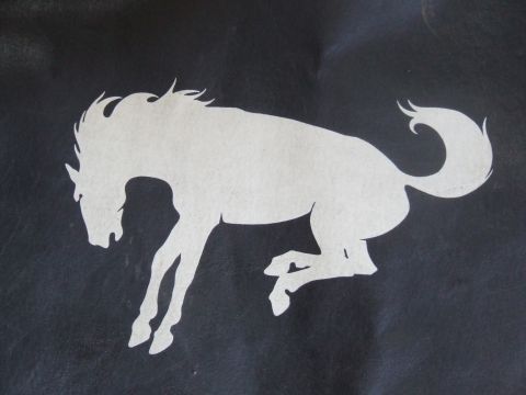 1986 Ford Bronco - A white silhouette of a bronco horse is displayed on a dark background, possibly a car emblem or decal.