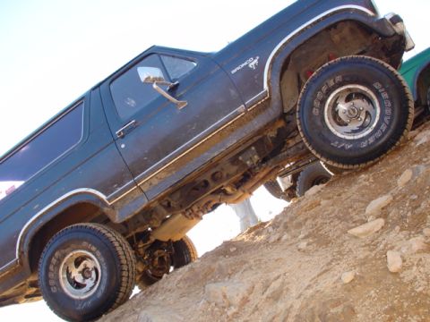 1981 Ford Bronco photo