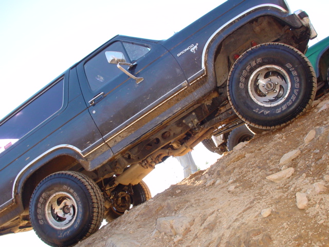 1981 Ford Bronco “Rooster”