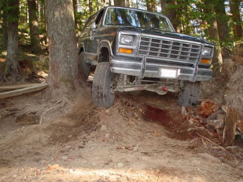 1981 Ford Bronco photo