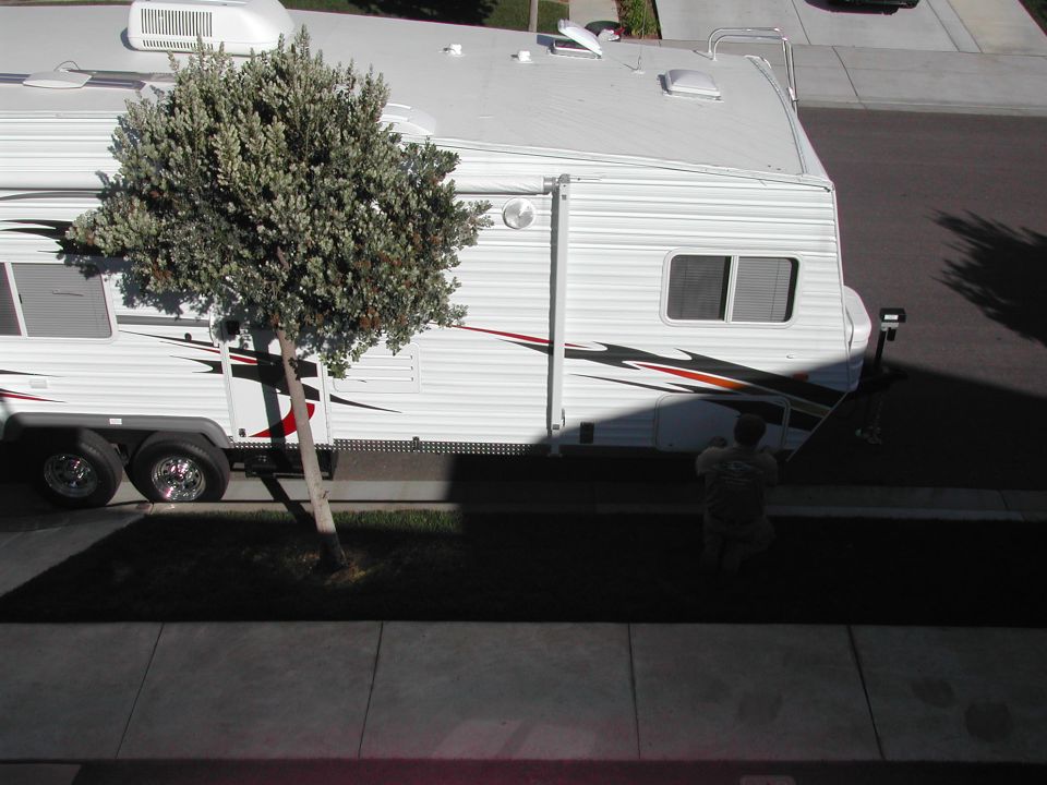 Travel trailer parked next to a small tree. A person is kneeling near the back of the trailer
