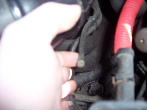 1995 Ford Probe - Engine bay hoses and wiring are visible in this close-up shot.