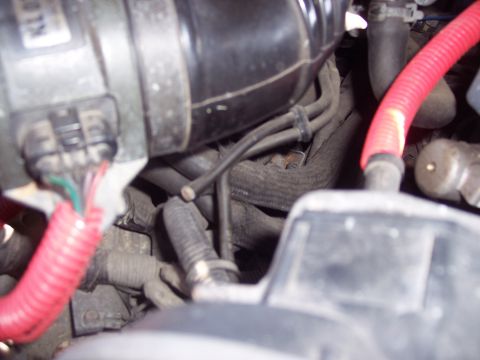 1995 Ford Probe - A close-up view of various hoses and wiring within a vehicle's engine compartment.