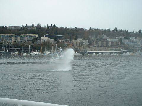 1999 Ford Crown Victoria - A boat sprays water in a harbor, with a city skyline visible in the background.
