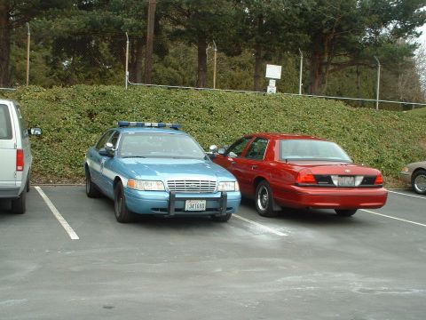 1999 Ford Crown Victoria - Two sedans, one a police car, are parked in a lot with a grassy embankment behind them.