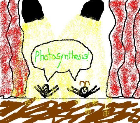 1999 Ford Taurus - A drawing depicts two figures under a speech bubble that reads "Photosynthesis!" with stage-like curtains and spotlights.