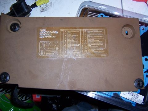 1983 Ford Bronco - panels 2