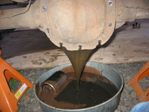 1991 Ford Explorer - Old differential fluid drains into a pan, with the old filter submerged. The vehicle is supported by jack stands.