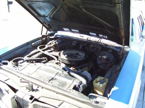 1970 Oldsmobile Cutlass “Grocery Getter”