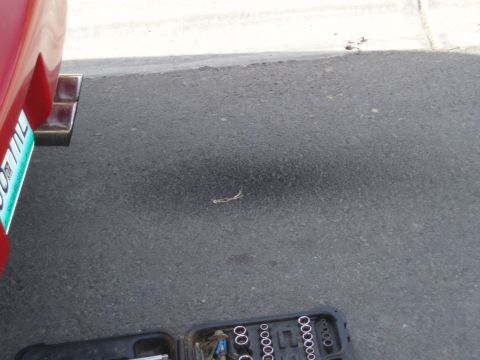 1997 Ford Probe - My car's running a little rich... can ya tell?