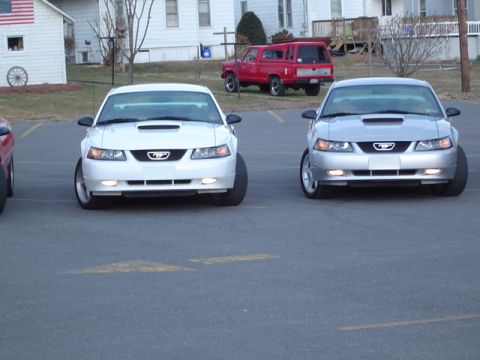 2002 Chevrolet Camaro - Two Ford Mustangs are parked facing forward in a lot, with a red pickup truck visible in the background.