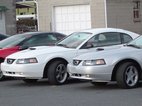 2002 Chevrolet Camaro - Multiple Ford Mustangs are parked side-by-side, with a watermark indicating the source as Supermotors.net.