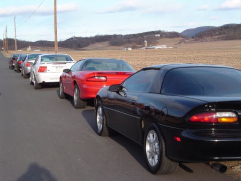 2002 Chevrolet Camaro - A line of Chevrolet Camaros, including a black 2002 model, are parked on the side of a rural road.
