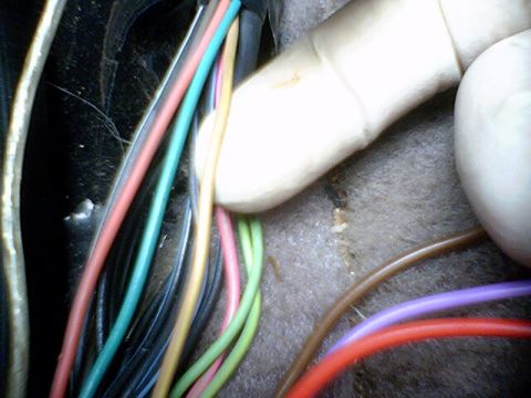 1994 Ford Bronco - Close-up of a finger interacting with a complex automotive wiring harness.