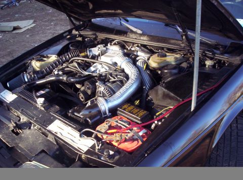 1989 Ford Thunderbird photo