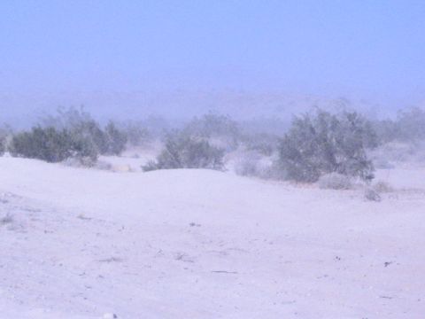 Sandy desert berm with low scrub brush and hazy sky