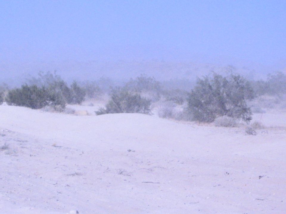 Sandy desert berm with low scrub brush and hazy sky