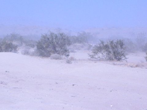 Desert sand dune with scattered scrub bushes under hazy sky