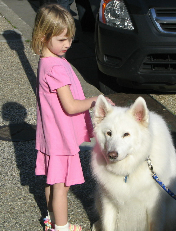 Girl in pink dress pets a white dog. Part of a dark SUV is visible