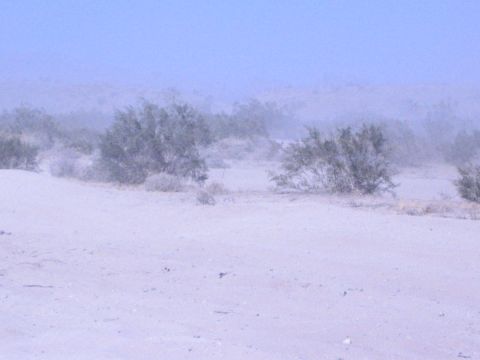 Hazy desert sand dune with scrub brush and dust on the horizon