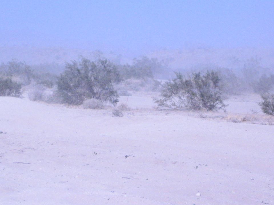 Hazy desert sand dune with scrub brush and dust on the horizon