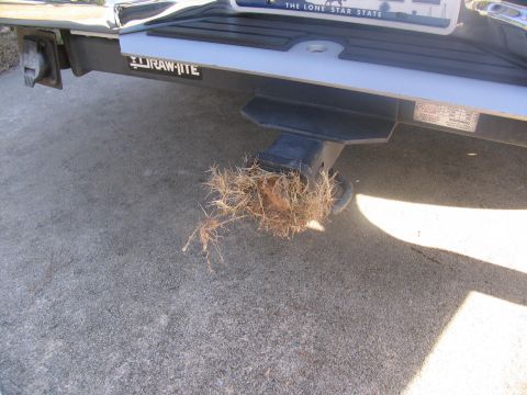 1995 Ford C-150 (Centurion Conversions) - Rear bumper and trailer hitch of a vehicle with a clump of grass attached to the hitch receiver.
