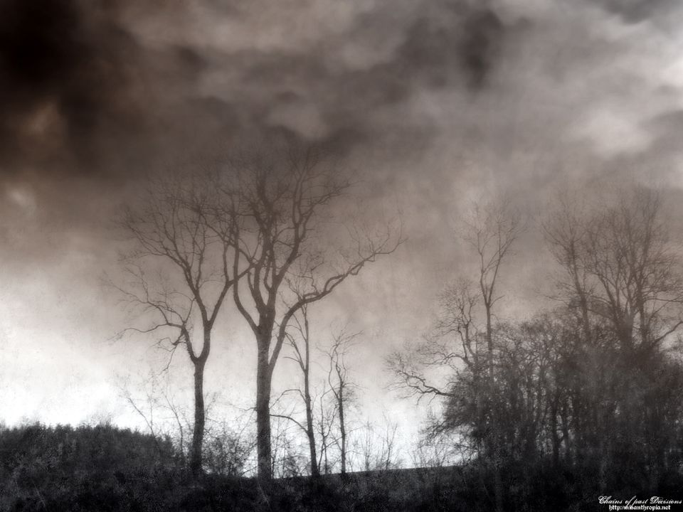 Bare trees under a dark, cloudy sky. Supermotors.net logo in lower right