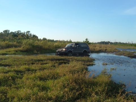 1991 Ford Bronco “mudnutz”