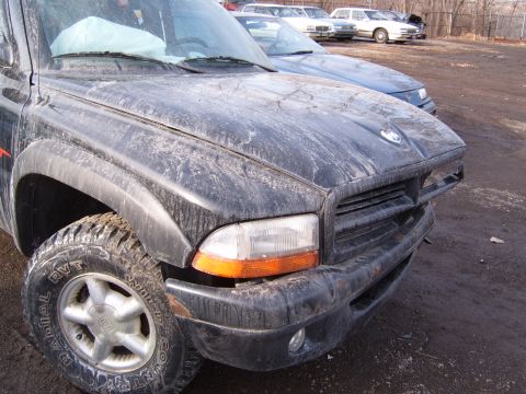 1993 Ford Bronco - Black Dodge Dakota pickup truck parked in an outdoor lot with other vehicles.