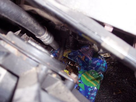 1995 Ford Probe - Debris, including colorful plastic wrappers, is visible in the engine bay near a hose.
