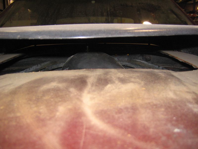 Hood scoop opening with dark rubber seal and red body panel