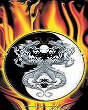 2000 Ford Crown Victoria - A graphic a Yin Yang symbol with dragons and flames, along with a website address.