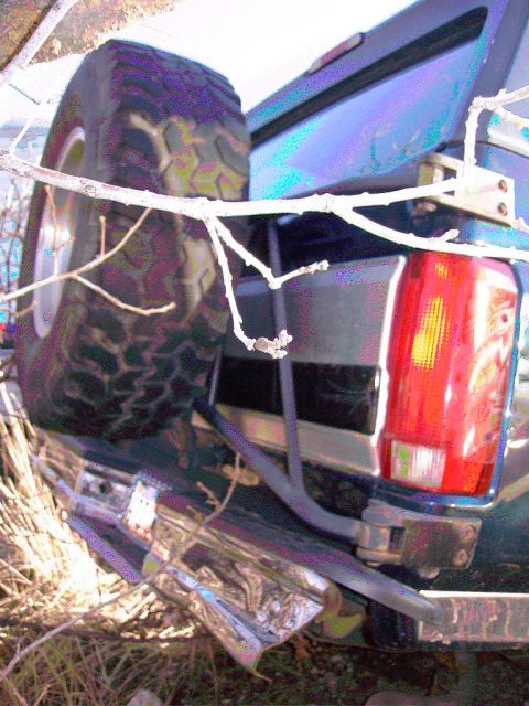 1981 Ford F-150 - Rear view of a pickup truck with a spare tire mounted on the tailgate.