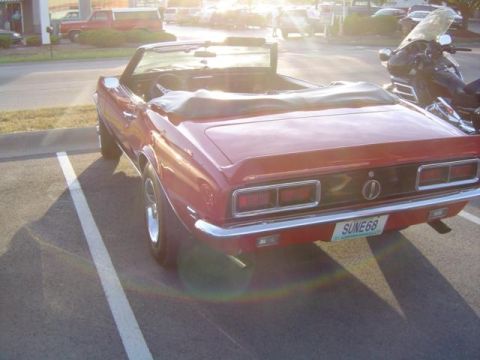 show cars