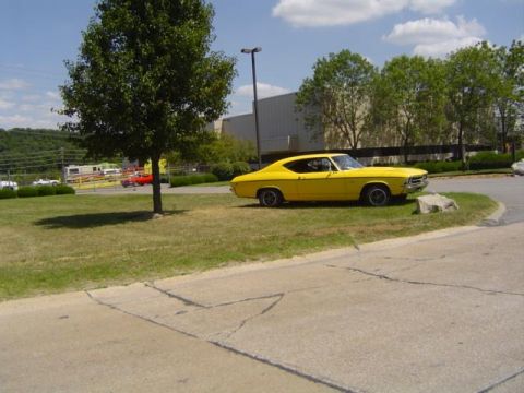 1979 Ford Bronco - A yellow 1969 Chevrolet Chevelle coupe is parked on a grassy area next to a tree.