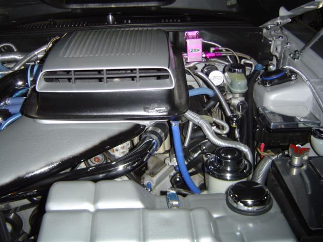 Engine bay with silver air intake, chrome hoses, and a pink component