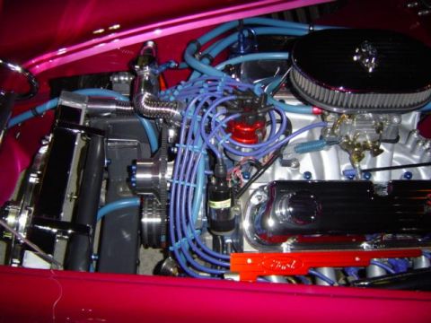 1979 Ford Bronco - Close-up of a custom engine bay with vibrant blue hoses and polished chrome components.