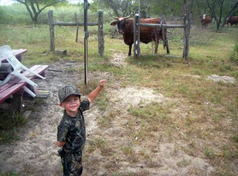 1986 Ford Bronco - Jr. decides he is gonna show the bull who is boss!