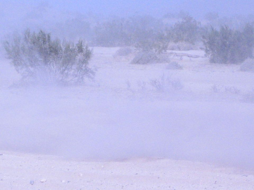 Hazy desert landscape of pale sand and scattered green brush under dust