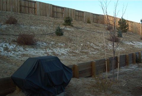1986 Ford Bronco - A grill is covered by a black tarp in a backyard setting, with a wooden fence and a young tree visible.