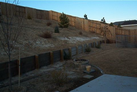 1986 Ford Bronco - Backyard scene with a wooden fence and landscaping. Watermark visible at bottom right.