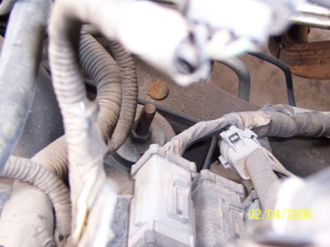 2000 Ford Excursion “Xochi”