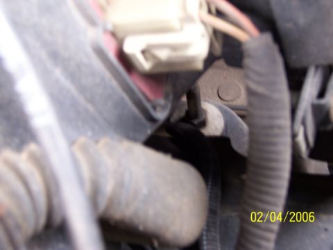 2000 Ford Excursion “Xochi”