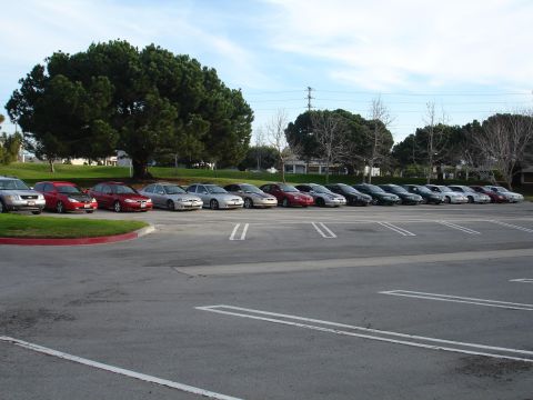 1993 Ford Taurus - A row of sedans and SUVs are parked in an outdoor lot under a cloudy sky.