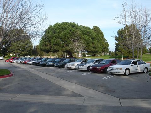 1993 Ford Taurus - A row of sedans, appearing to be 1993 Ford Tauruses, are parked in an outdoor lot.