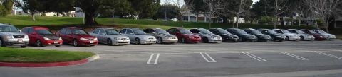 1993 Ford Taurus - A line of sedans are parked in a lot under trees.