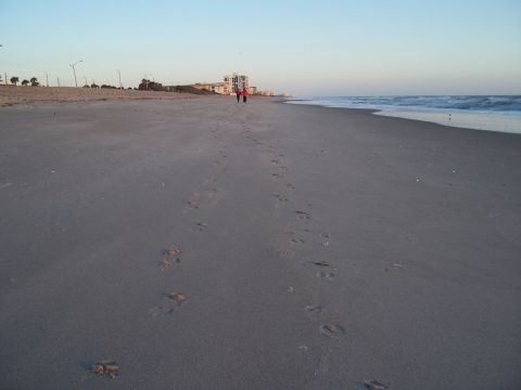 1994 Ford Probe - A beach scene unfolds with two figures walking along the shore, leaving footprints in the sand.
