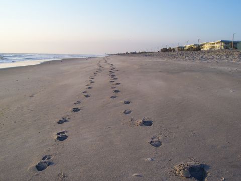 1994 Ford Probe - Footprints mark a path on the sand, with buildings and the ocean in the background.